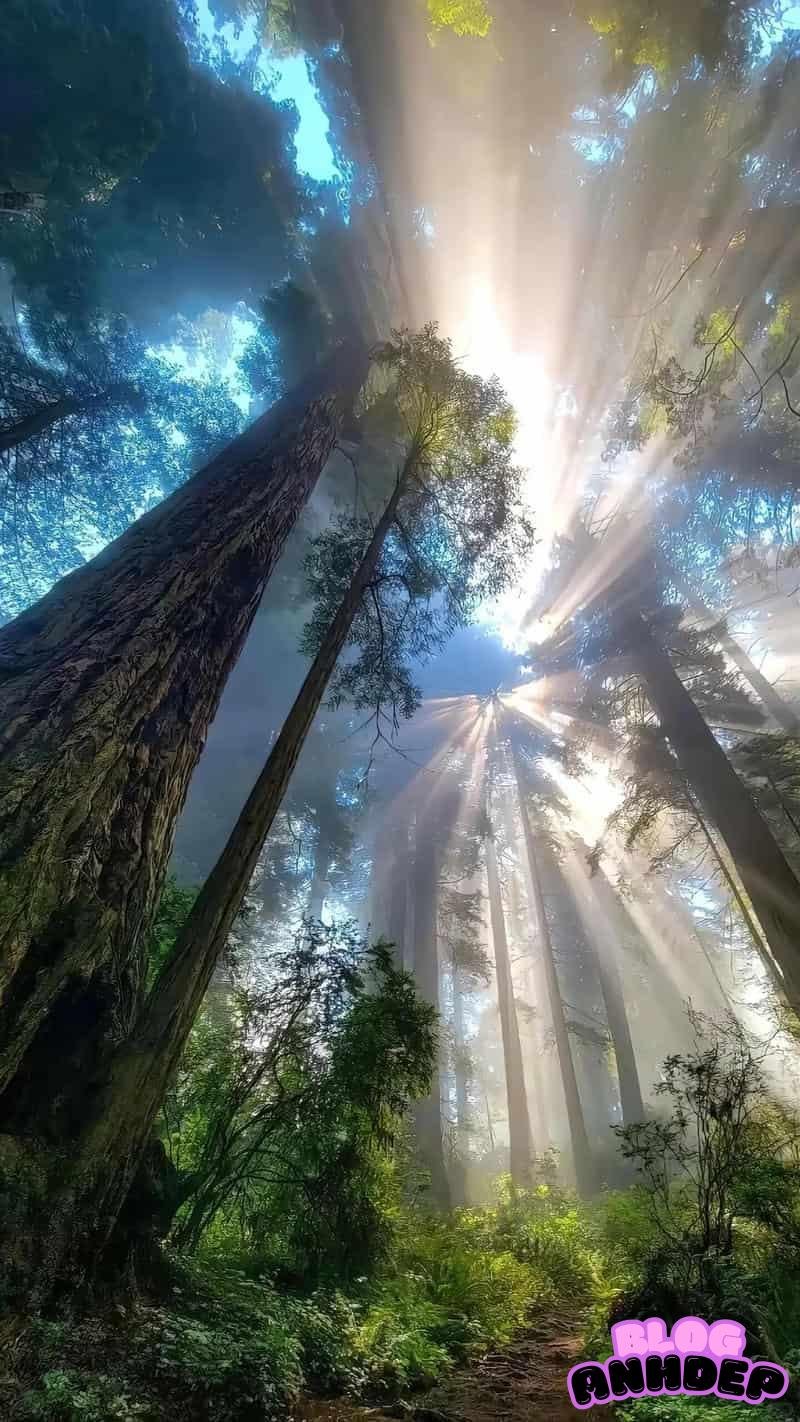 Tải ảnh hình nền 4d sáng tạo