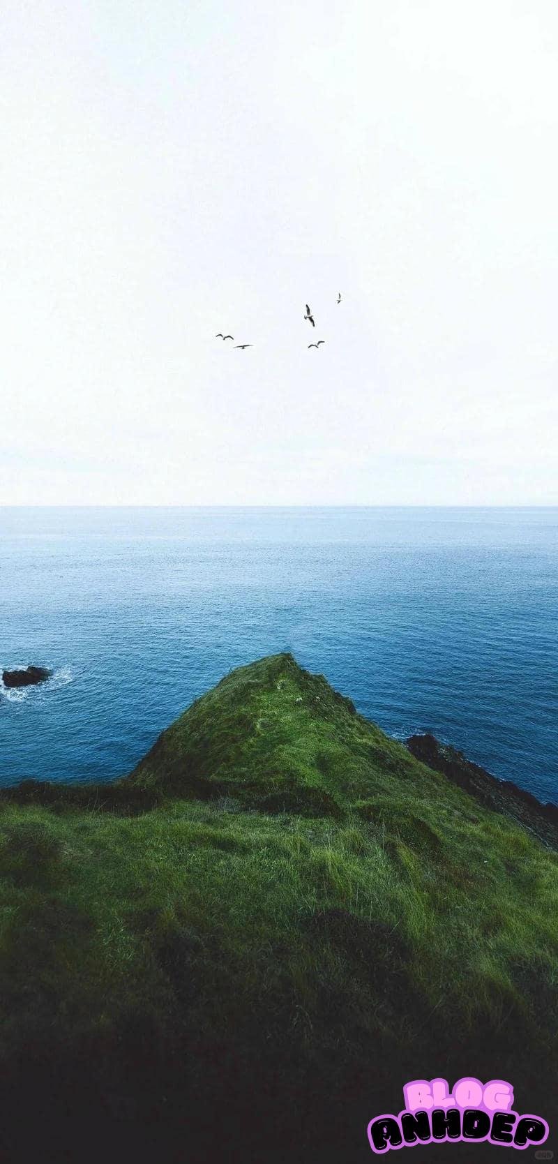 Tải ảnh hình nền android phù hợp