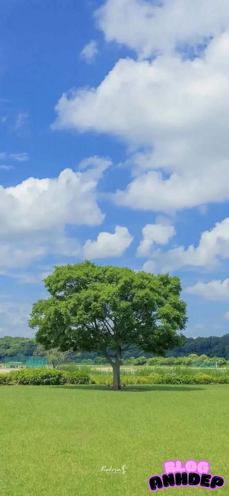 Tải ảnh hình nền bầu trời