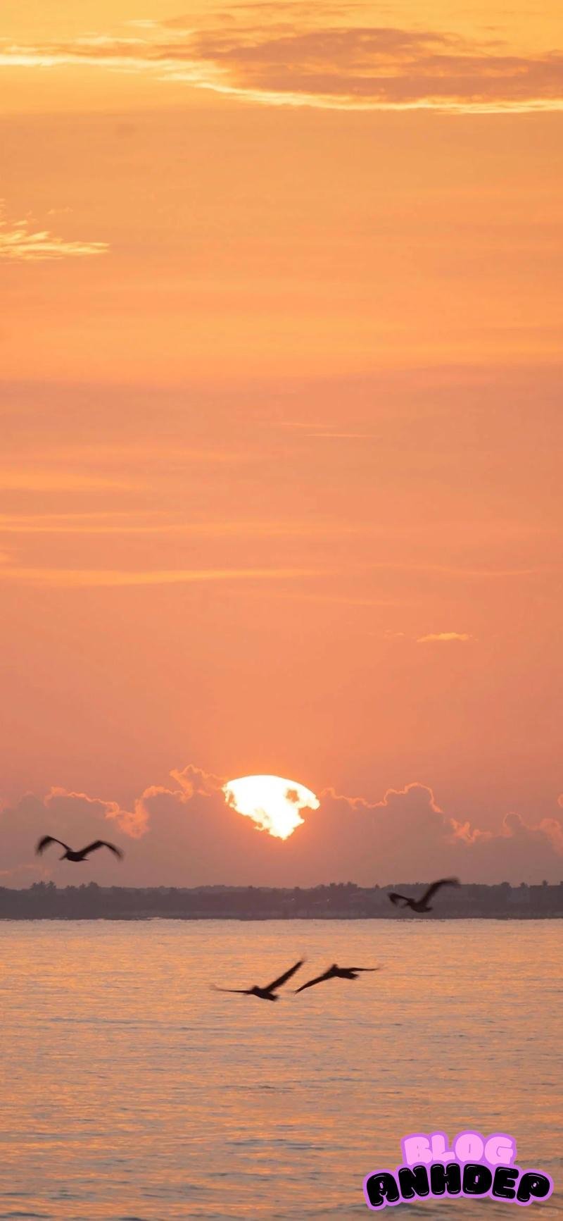 Tải ảnh hình nền bình minh trong