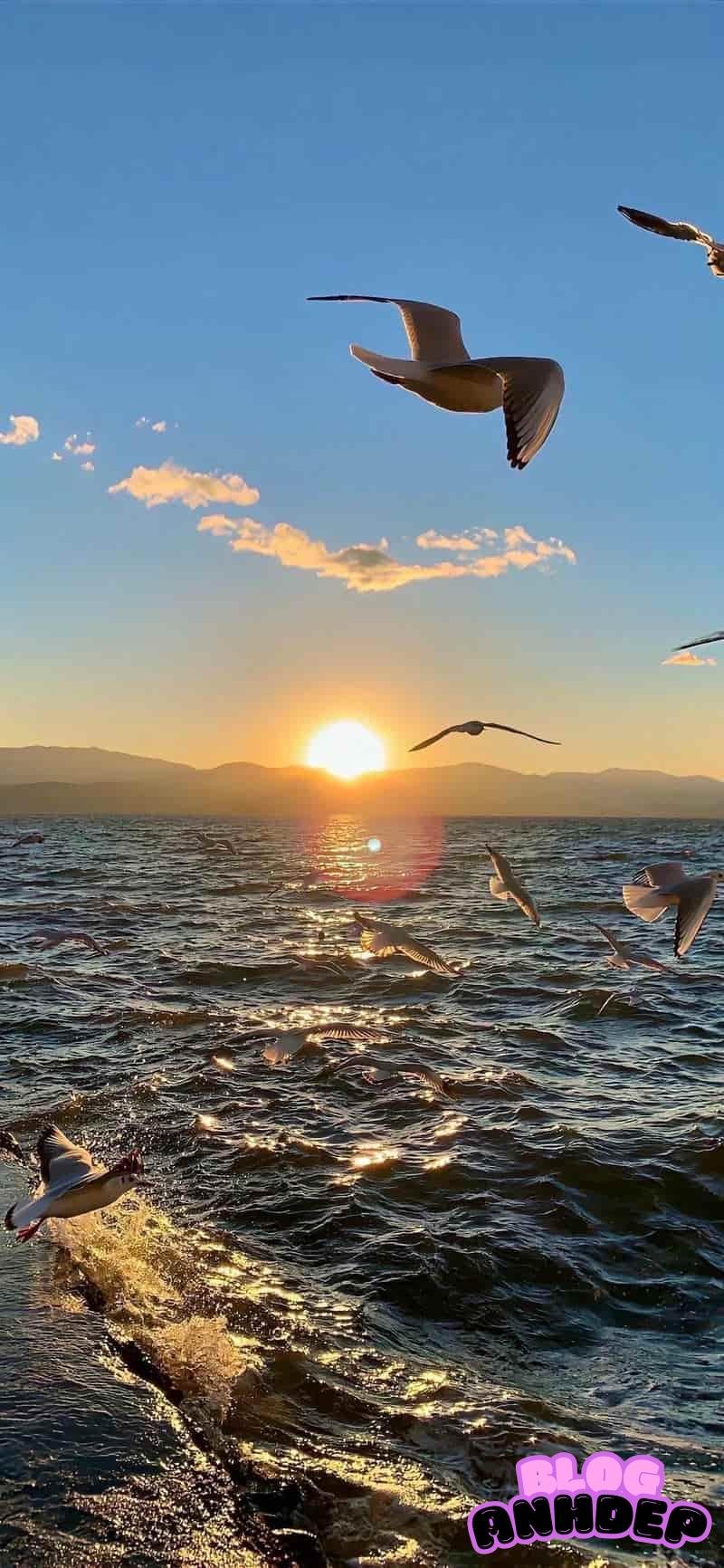 Tải ảnh hình nền bình minh