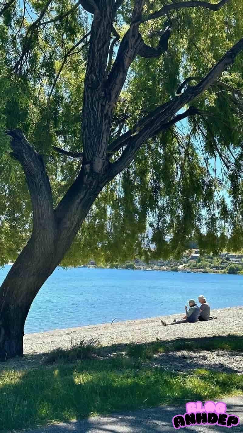 Tải ảnh hình nền bình yên dịu