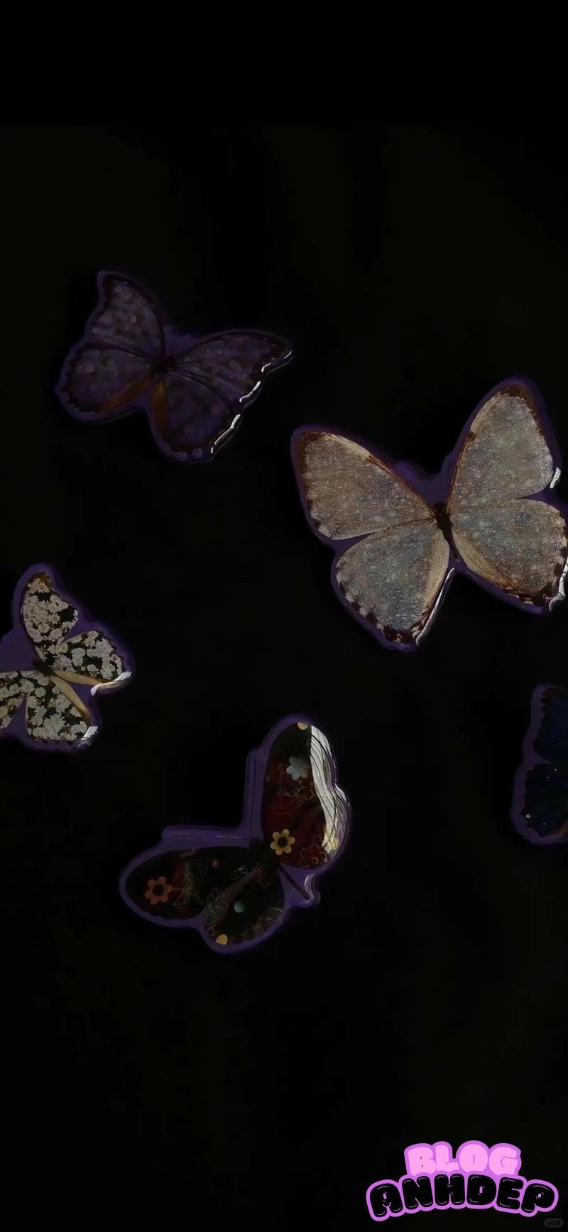 Tải bộ hình nền bướm mới nhất