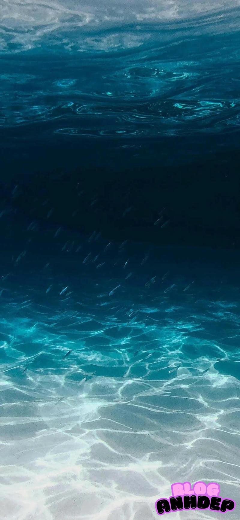 Tải bộ hình nền đại dương mới nhất