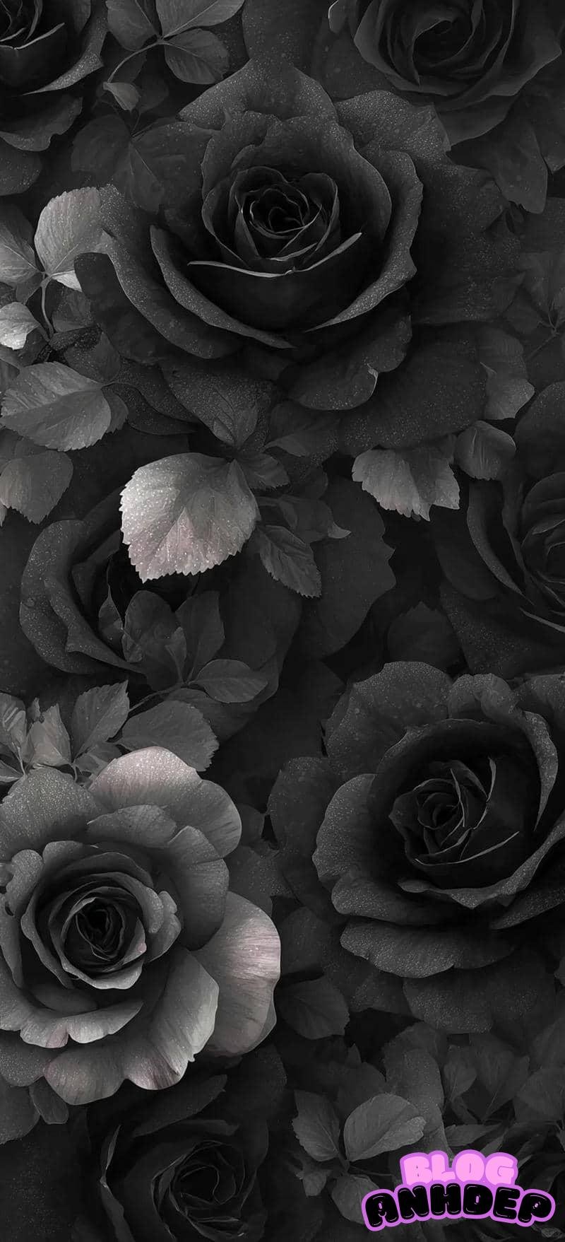 Tải bộ hình nền đen mới nhất