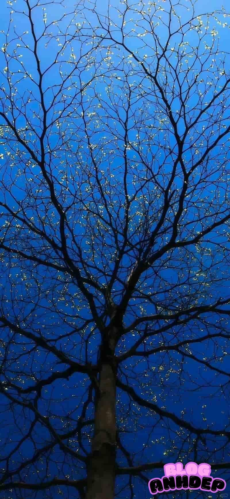 Tải chất lượng hình nền buồn