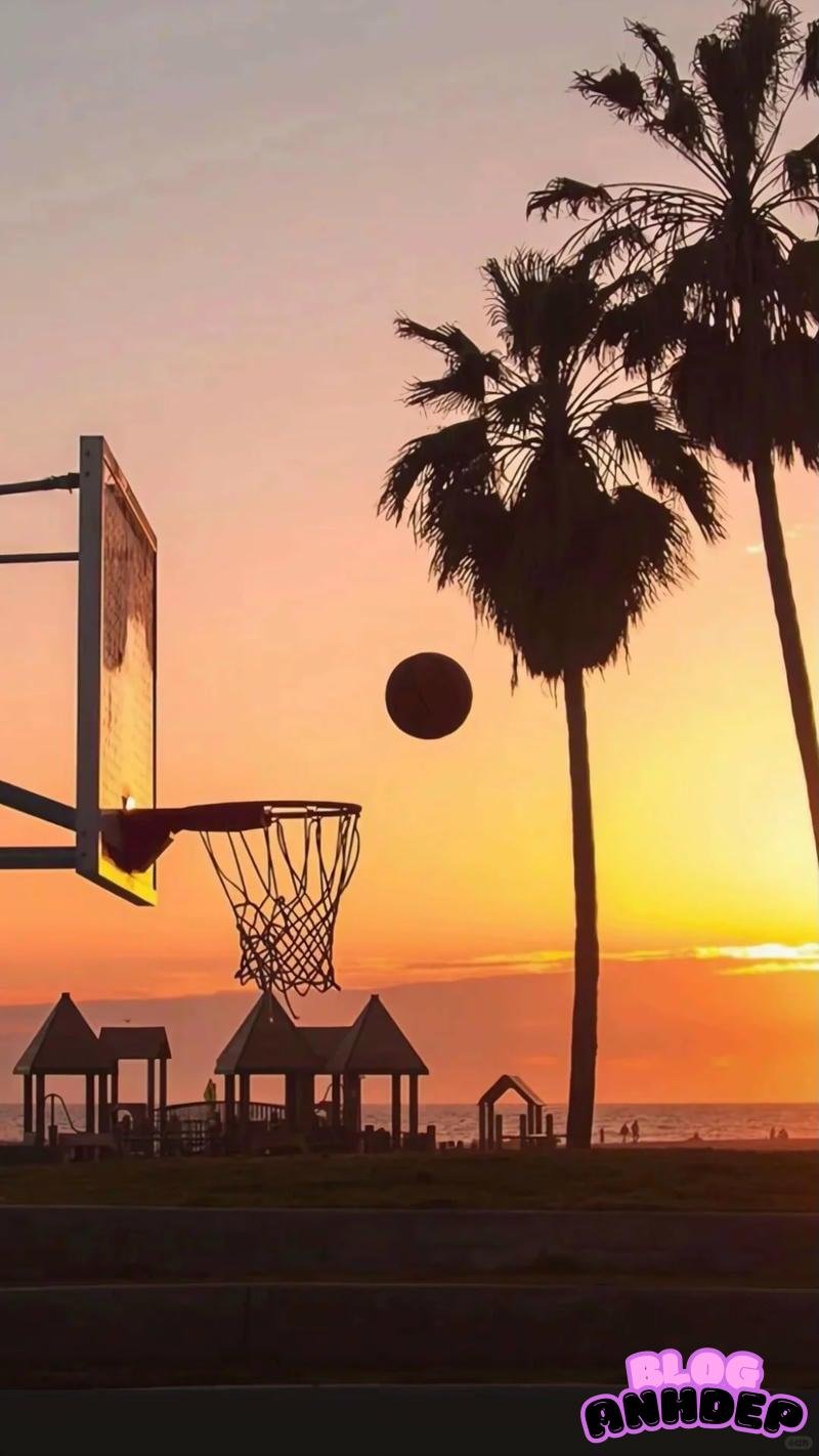 Tải chọn lọc hình nền bóng rổ