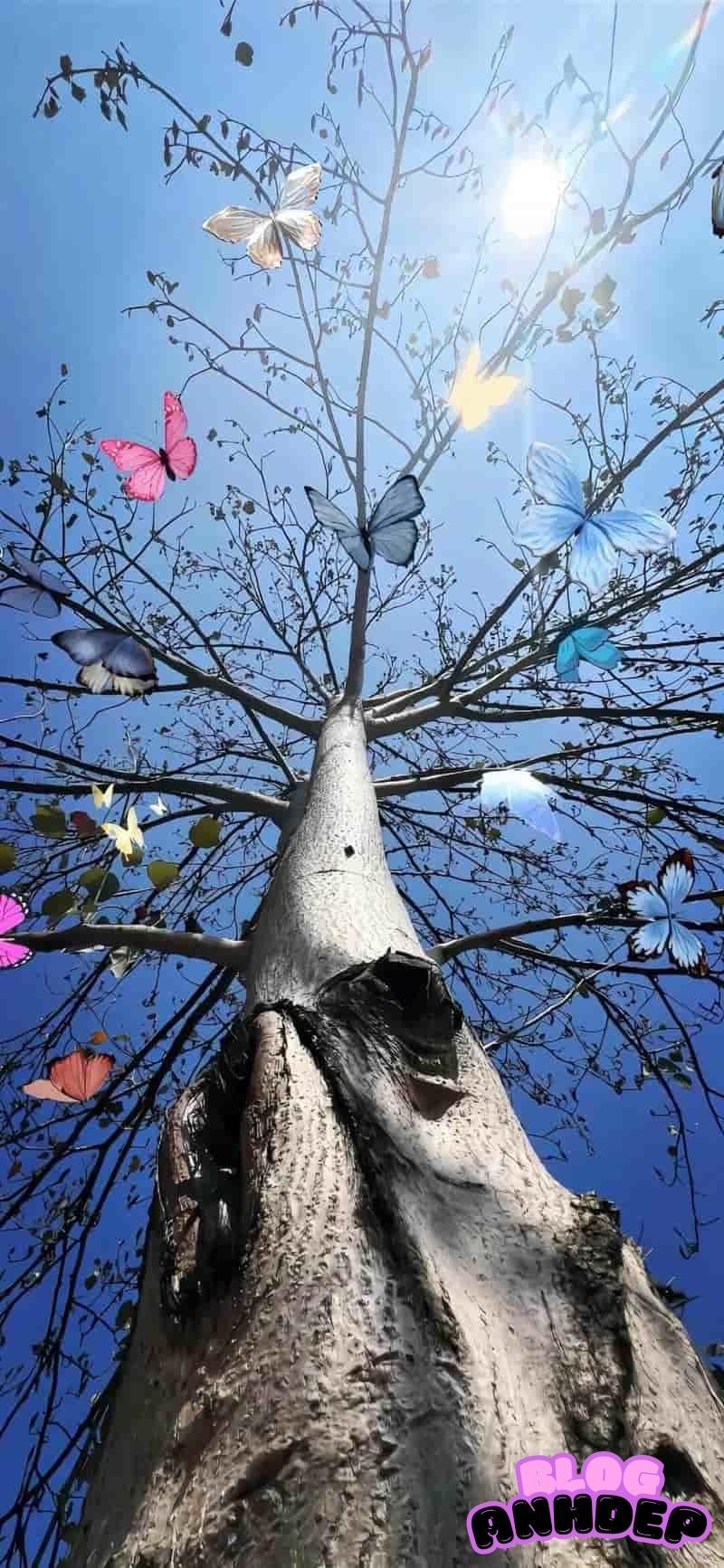 Tải hình ảnh hình nền 4d tinh tế