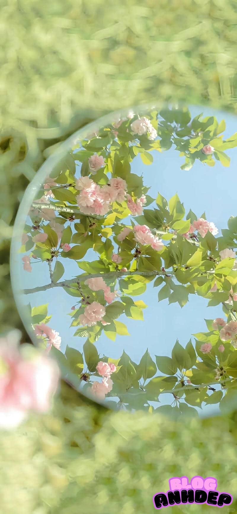 Tải hình ảnh hình nền android tinh gọn