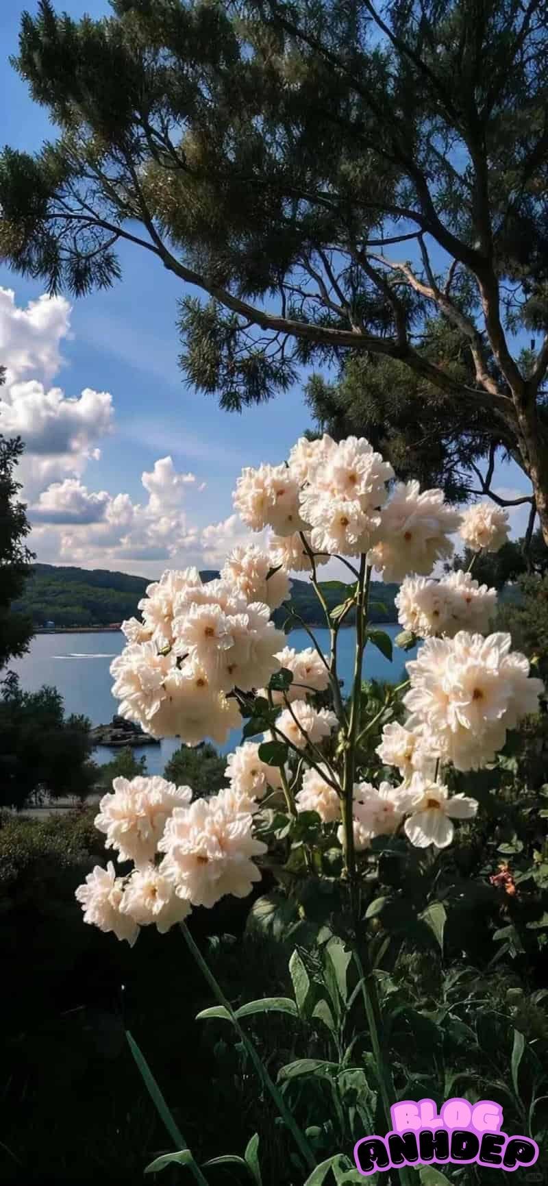 Tải hình nền 2k full hd