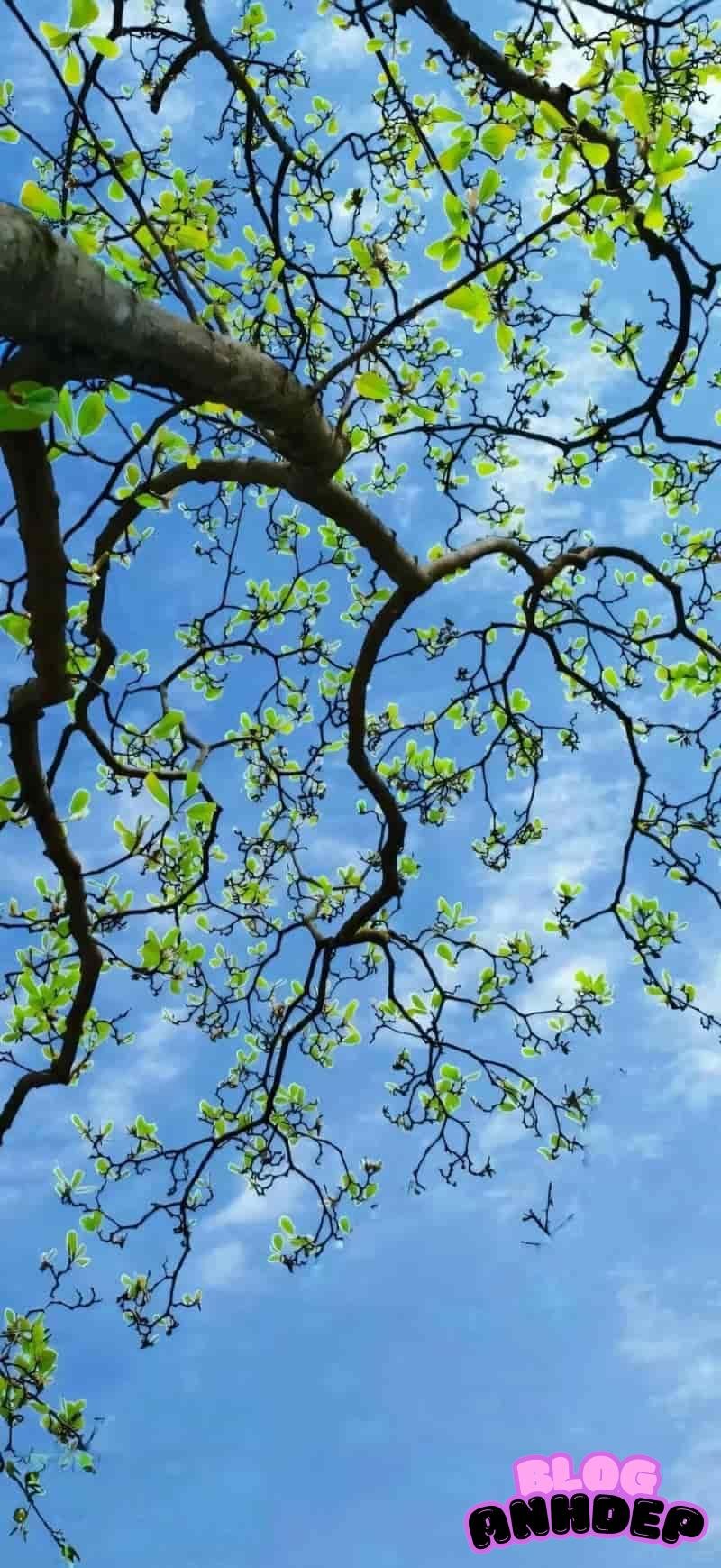 Tải hình nền 3d mới nhất