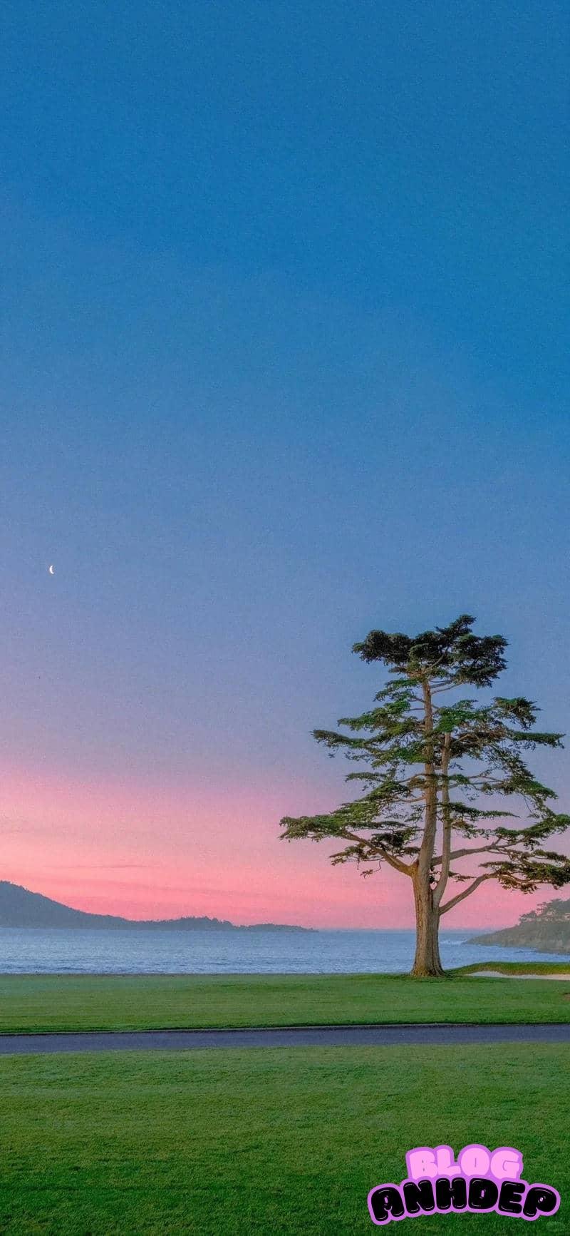 Tải hình nền 8k sắc nét