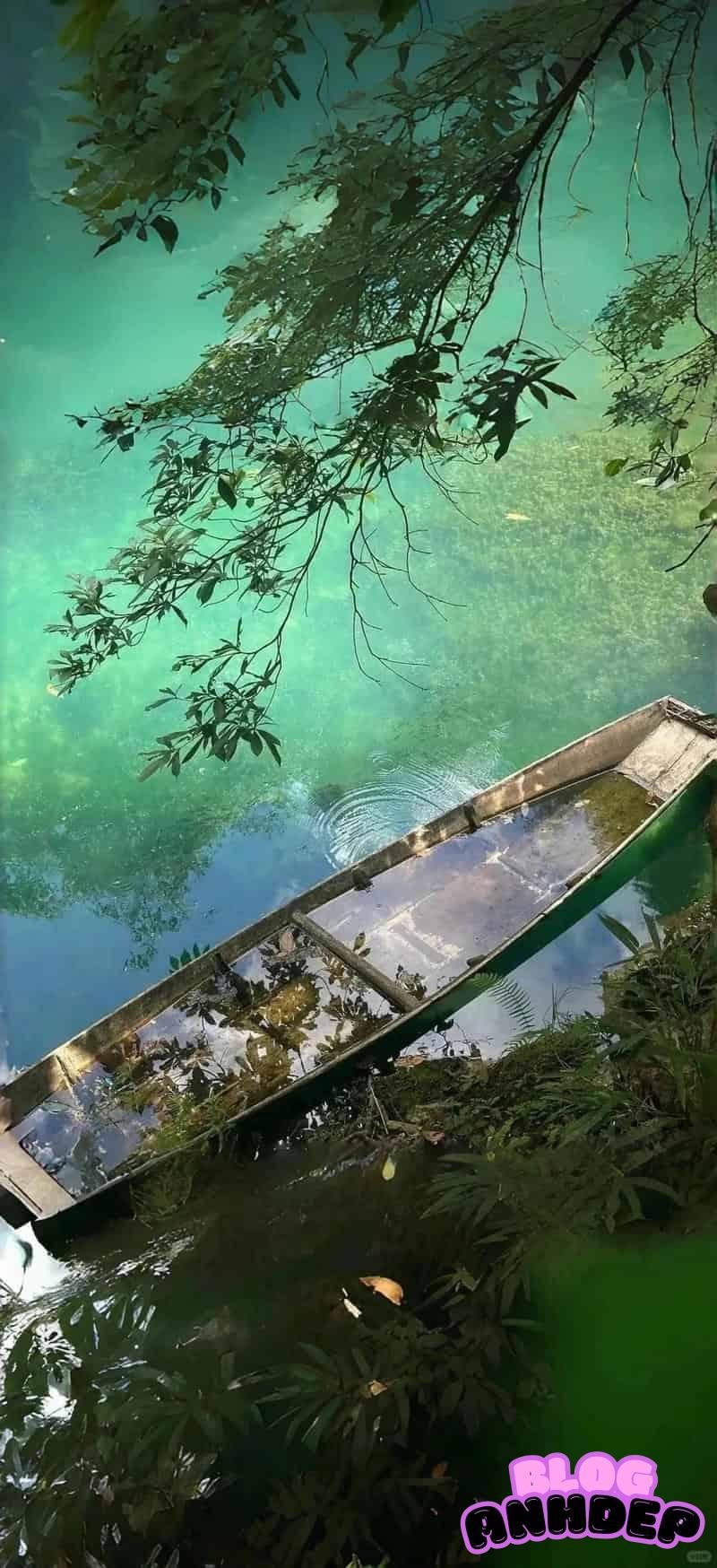 Tải hình nền android mới