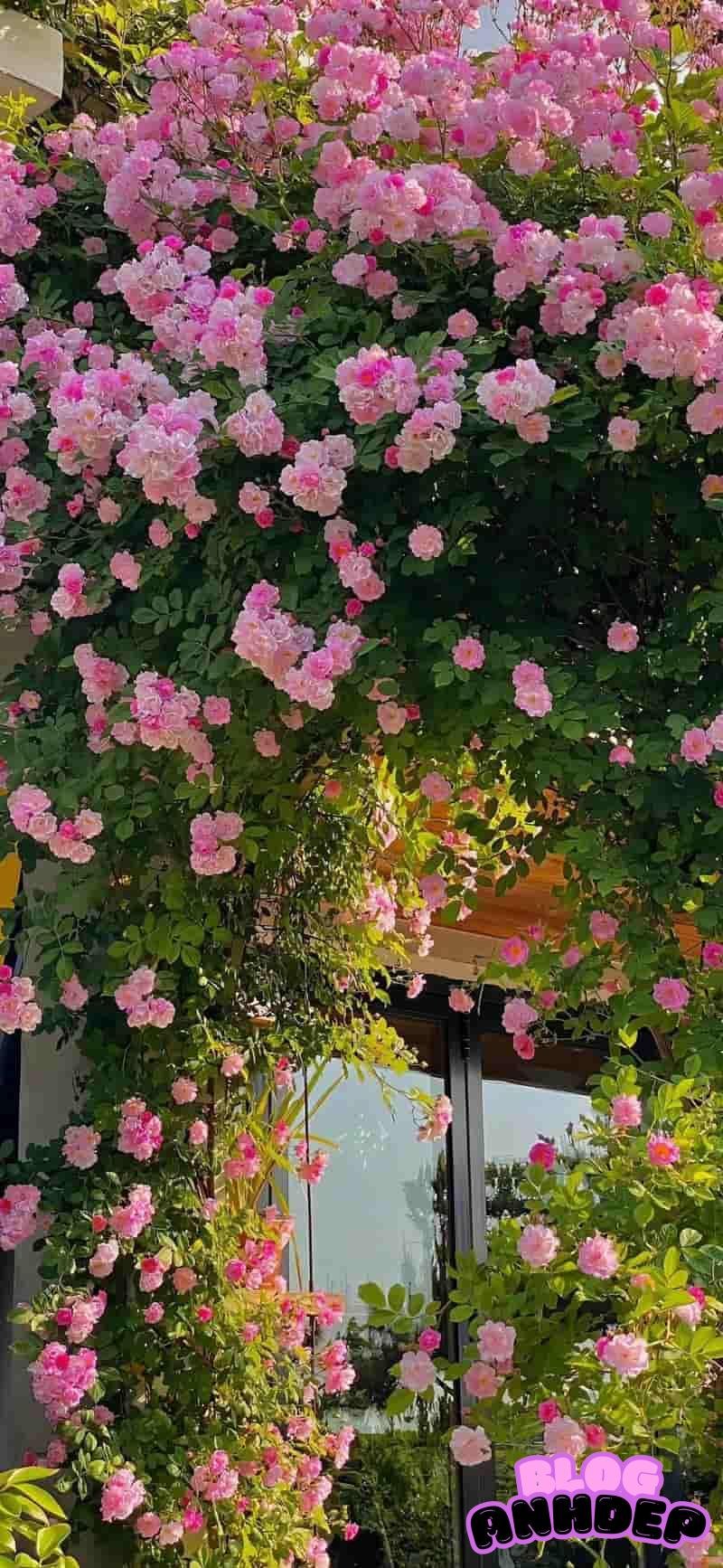 Tải hình nền android tinh gọn