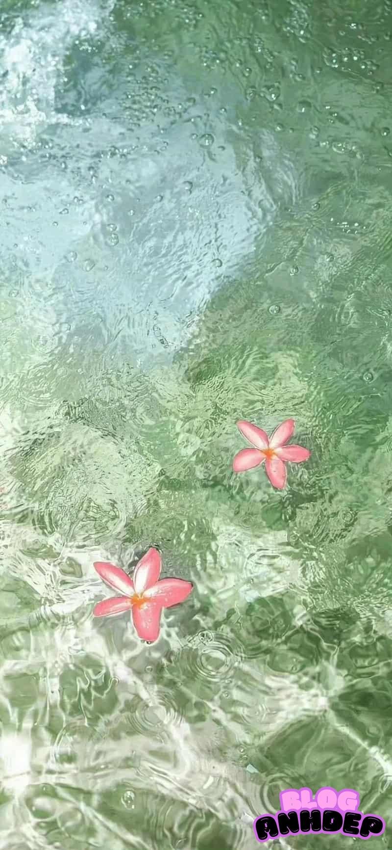 Tải hình nền background bản mới