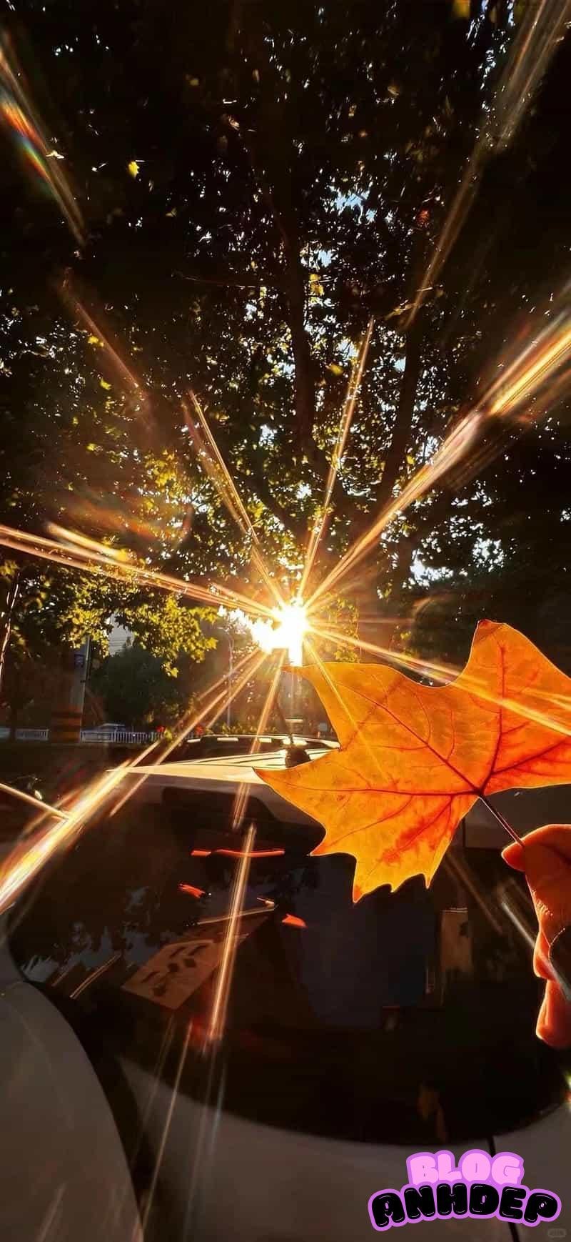 Tải hình nền background cảm hứng