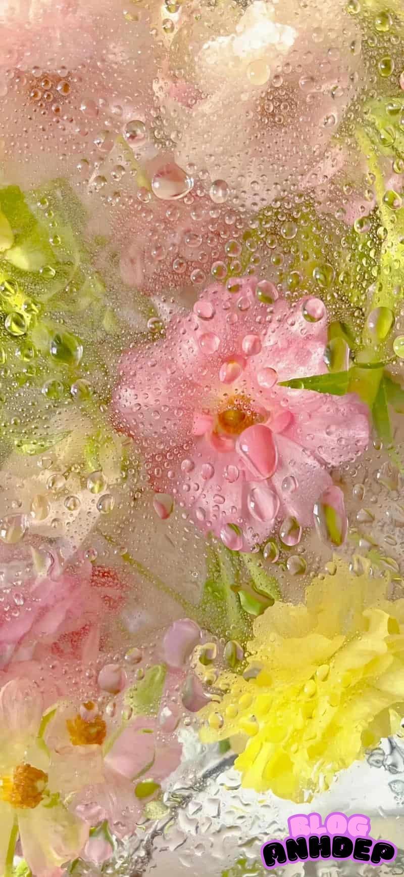 Tải hình nền background sắc nét