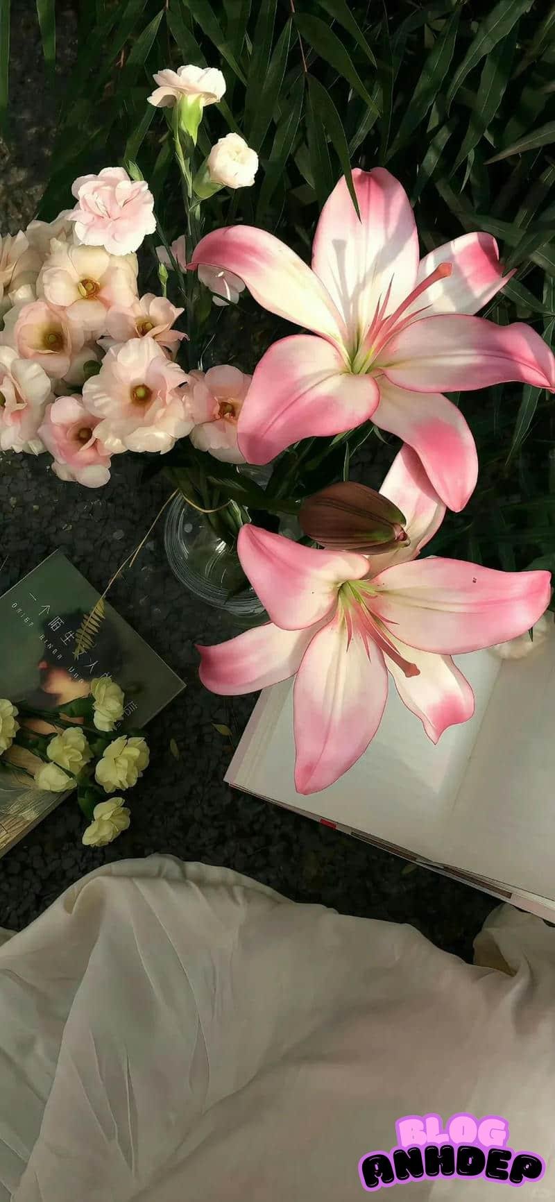 Tải hình nền bông hoa miễn phí