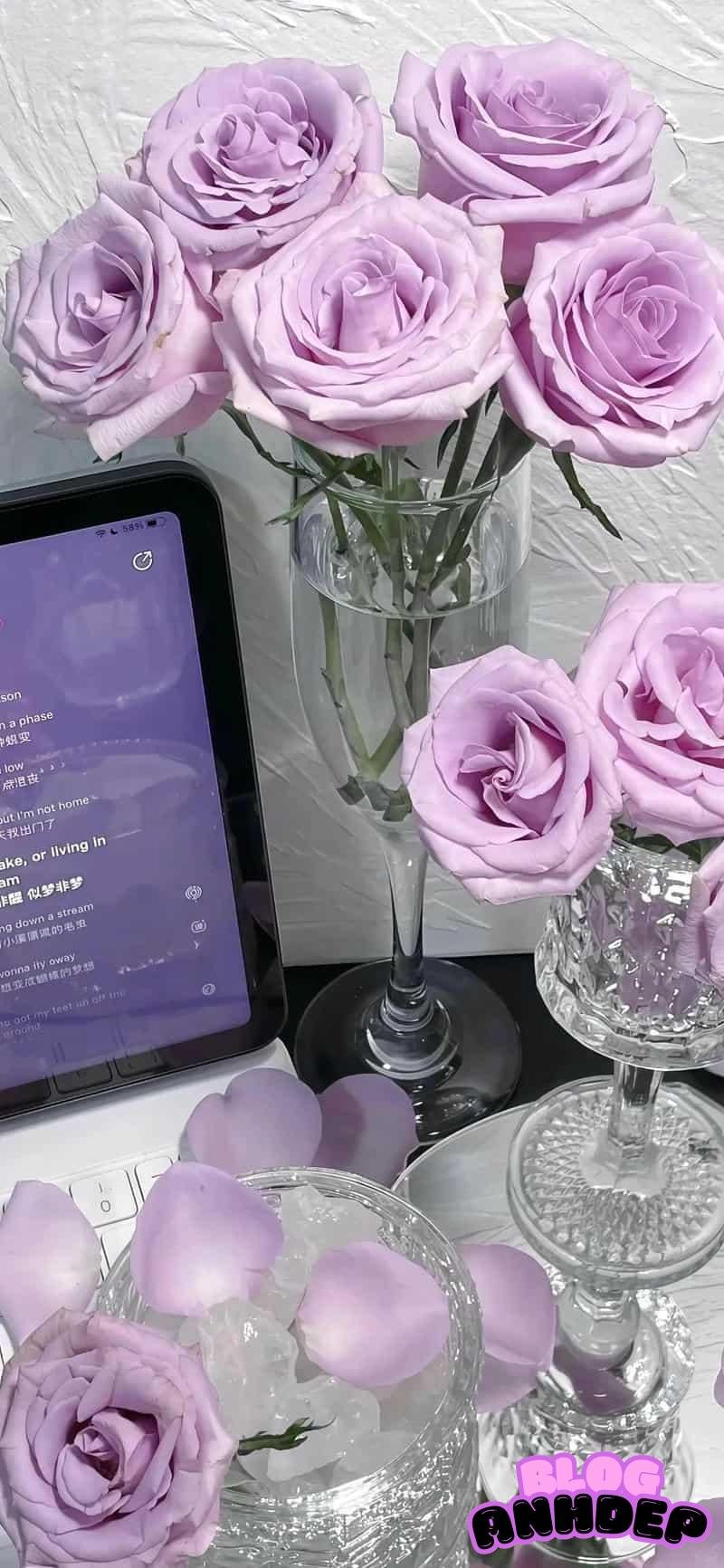 Tải hình nền bông hoa nổi bật