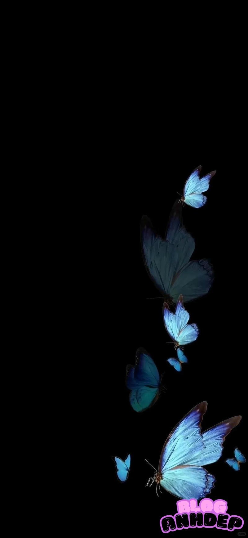 Tải hình nền bướm mới