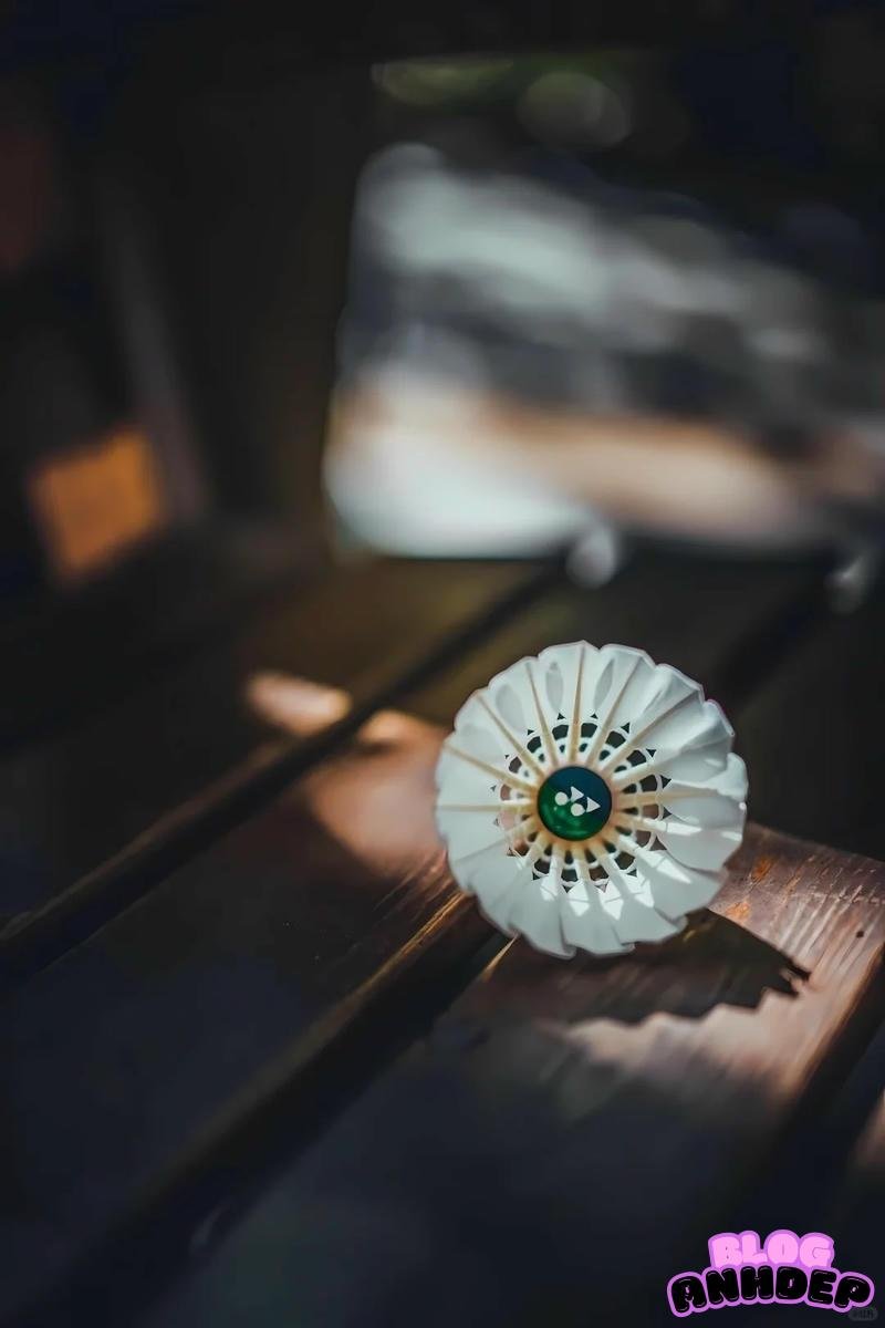 Tải hình nền cầu lông mới