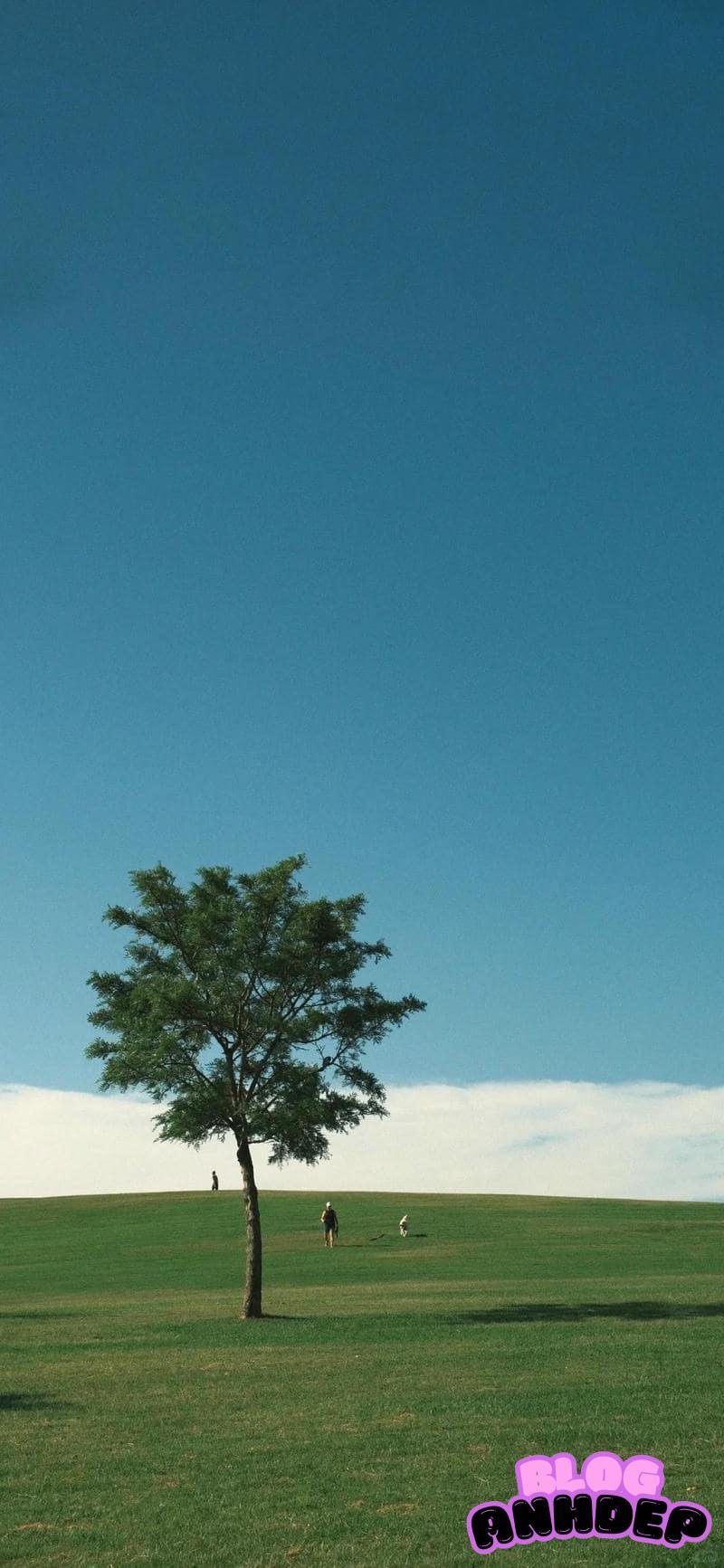 Tải hình nền cây xanh mới