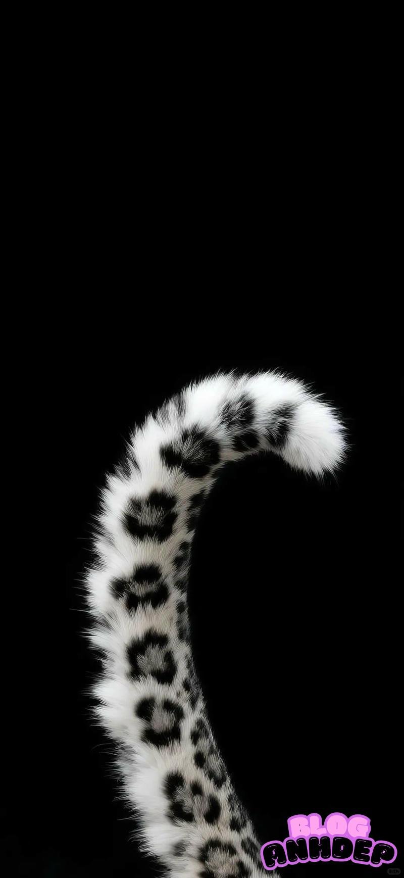 Tải hình nền đen trắng mới