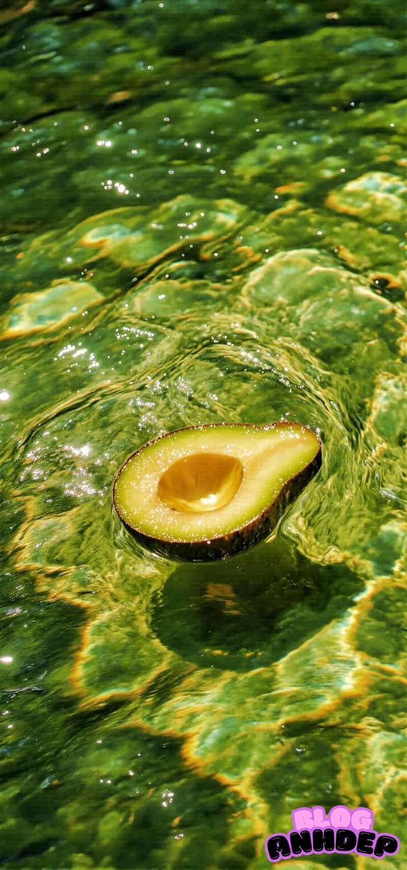 Tải miễn phí hình nền bơ