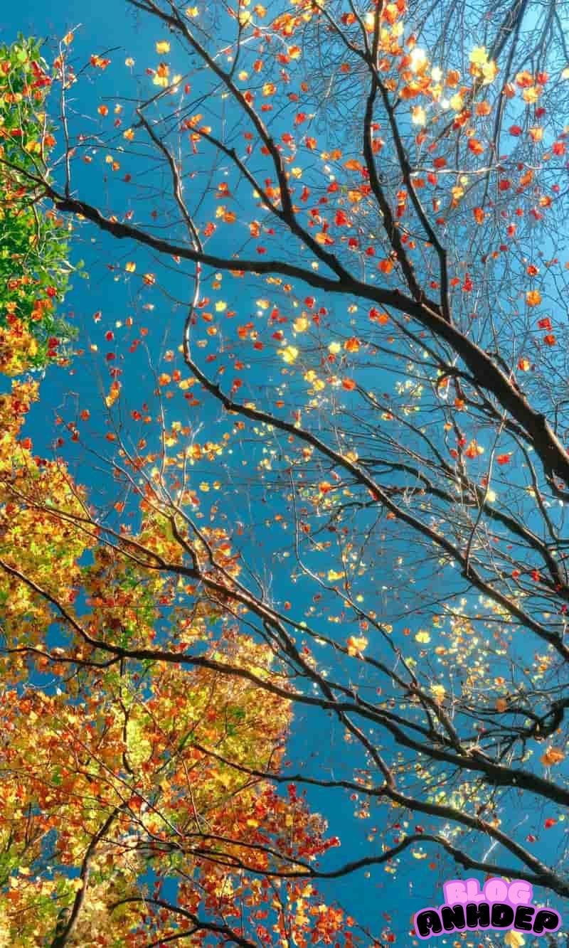 Tải nhanh hình nền bình yên