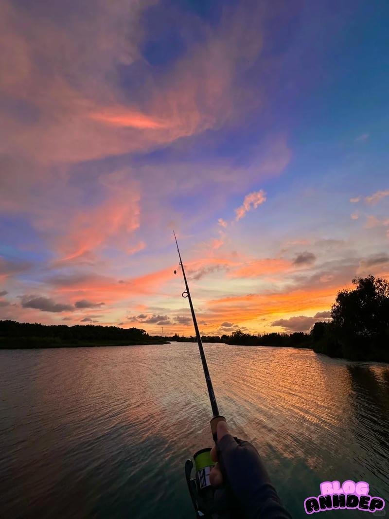 Tải về hình nền câu cá chất lượng cao