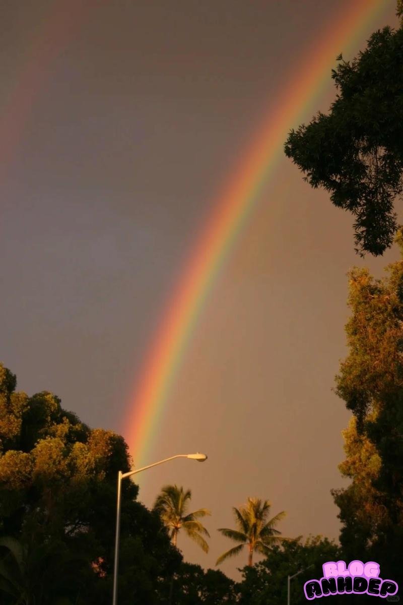 Tải về hình nền cầu vòng miễn phí