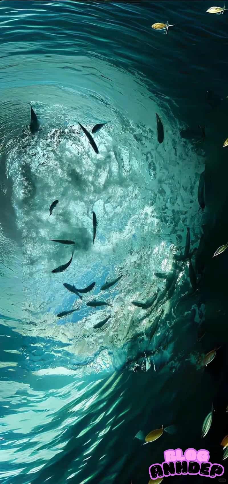 Tải về hình nền đại dương chất lượng cao