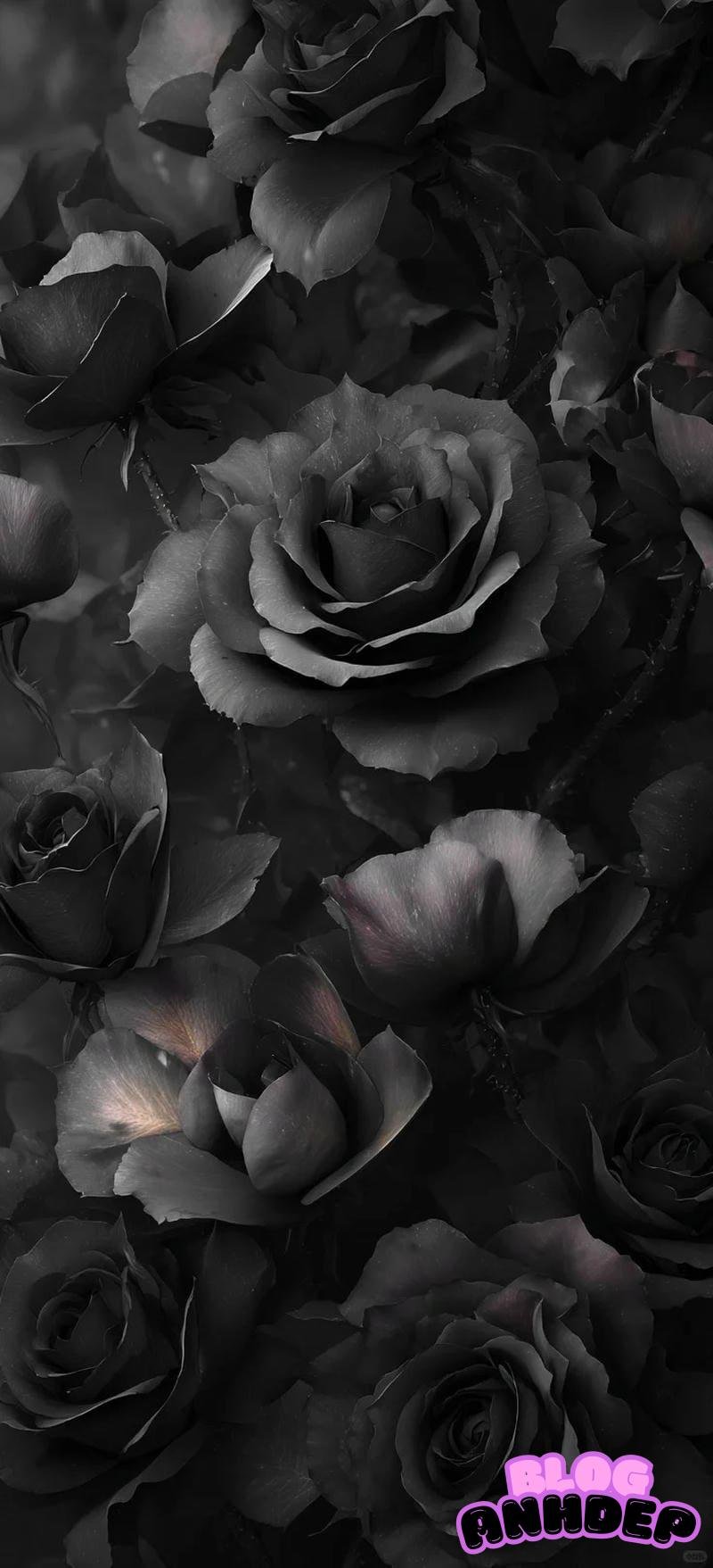 Tải về hình nền đen miễn phí