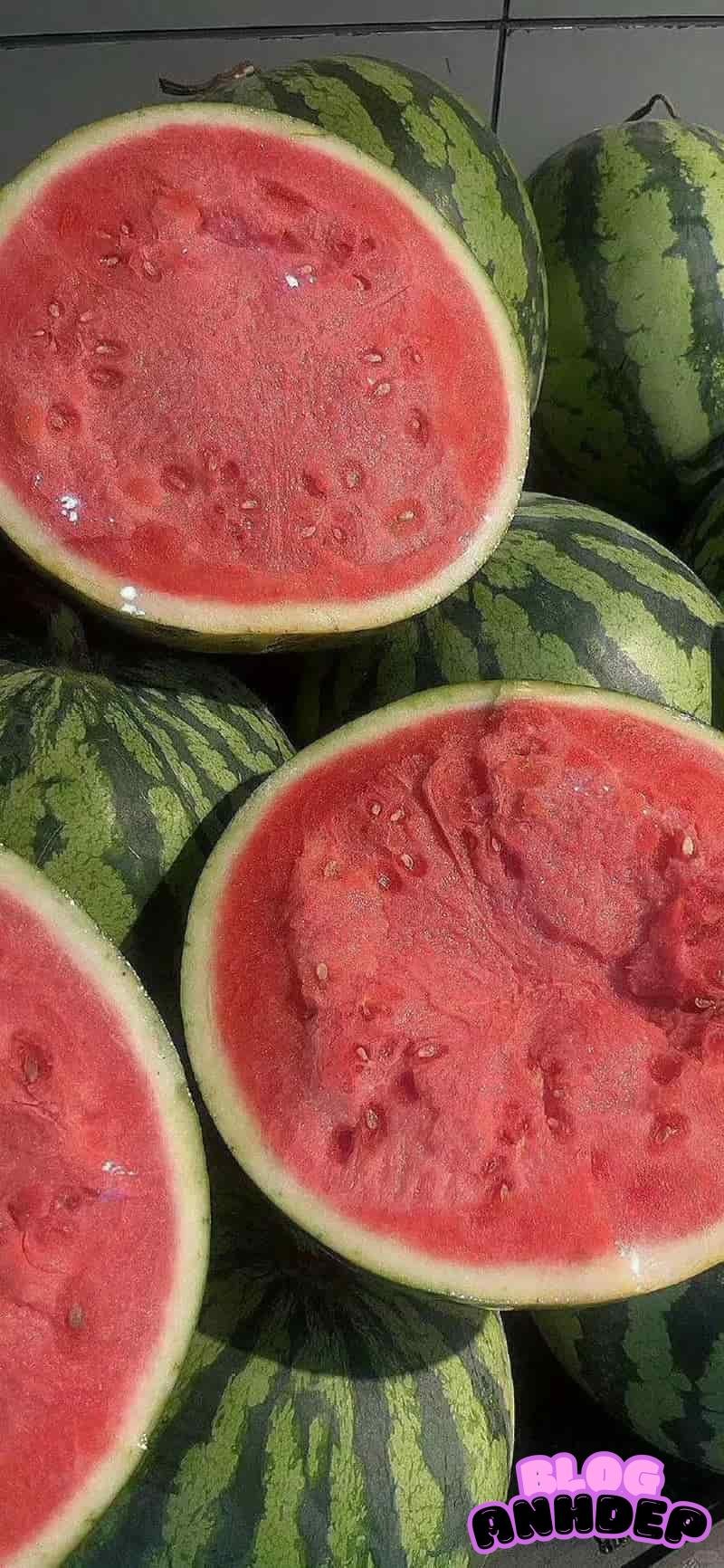 Tải về hình nền dưa gấu chất lượng cao