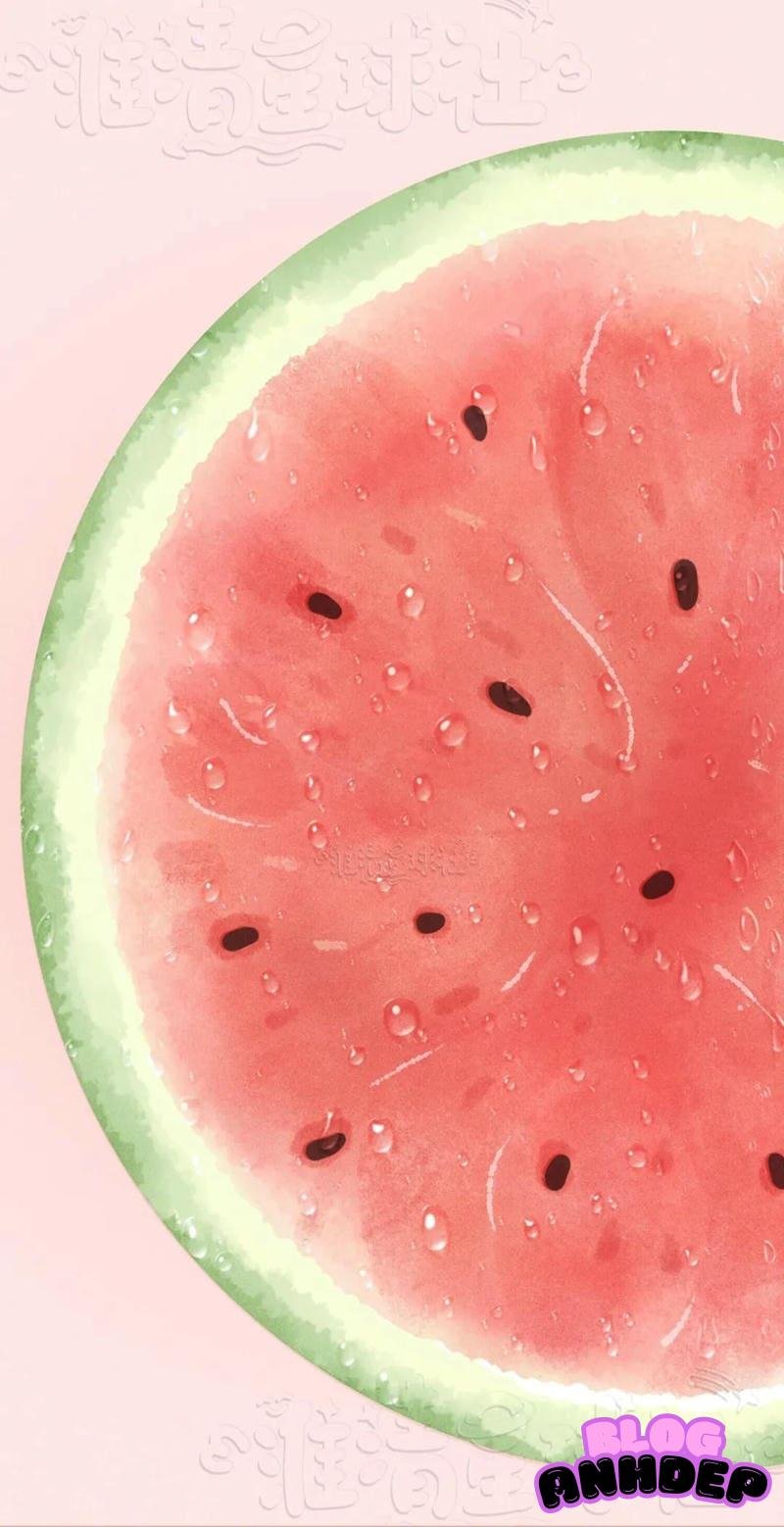 Tổng hợp hình nền dưa gấu chất lượng