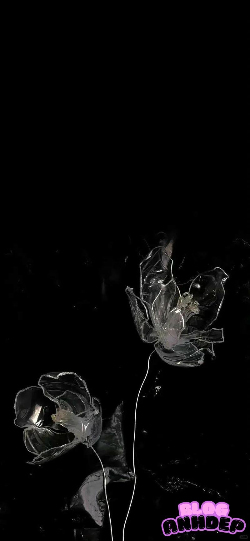 Tuyển chọn hình nền đen trắng thu hút