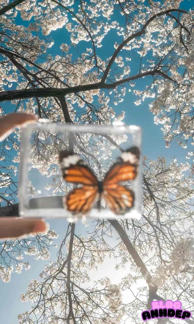 Tuyển tập bộ hình nền cảnh đẹp thiên nhiên miễn phí