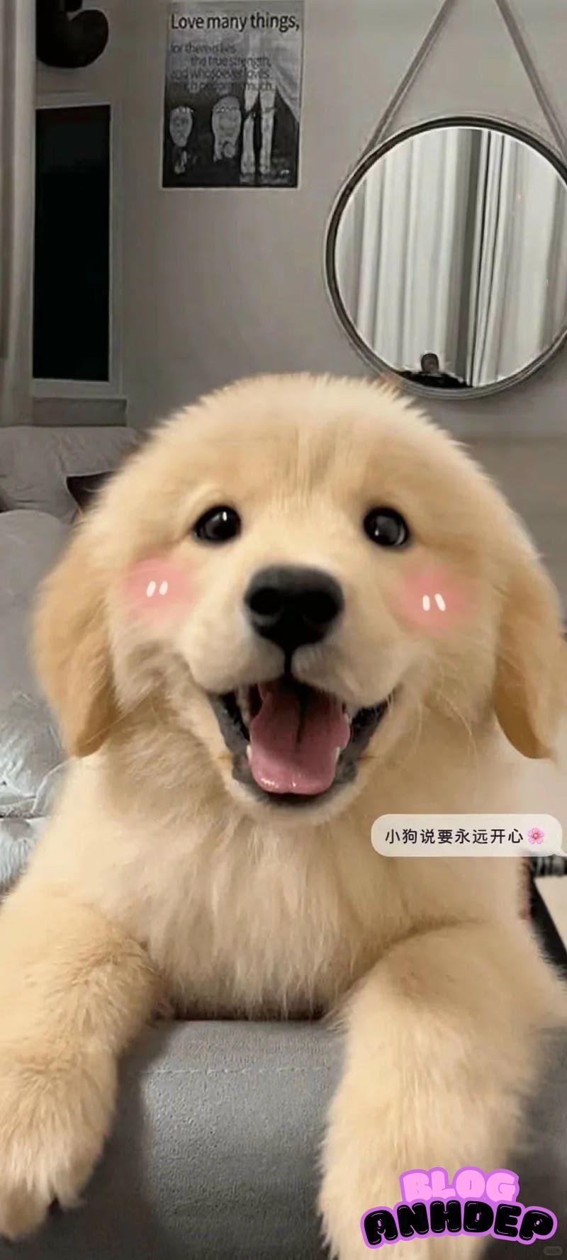 Tuyển tập bộ hình nền con vật miễn phí