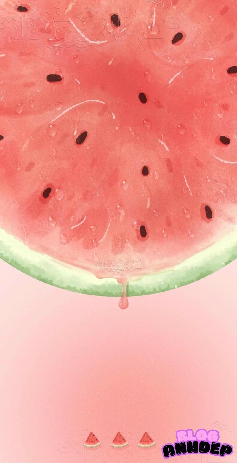 Tuyển tập bộ hình nền dưa gấu miễn phí