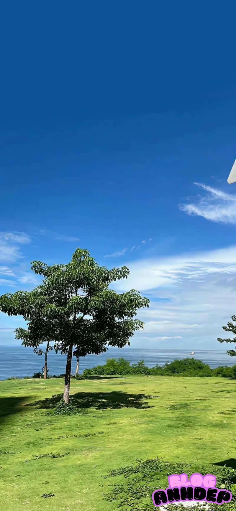 Xem ảnh đẹp hình nền bầu trời