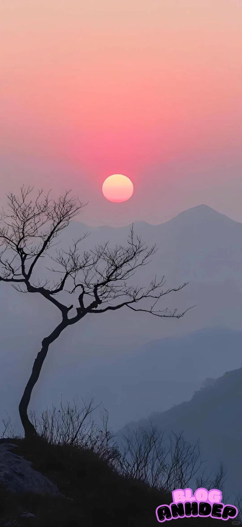 Xem ảnh hình nền 5d