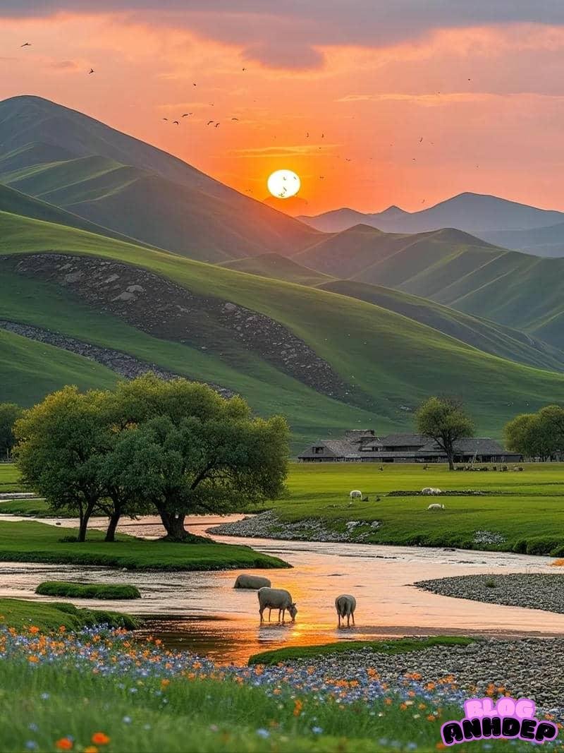 Xem ảnh hình nền bình yên sâu lắng