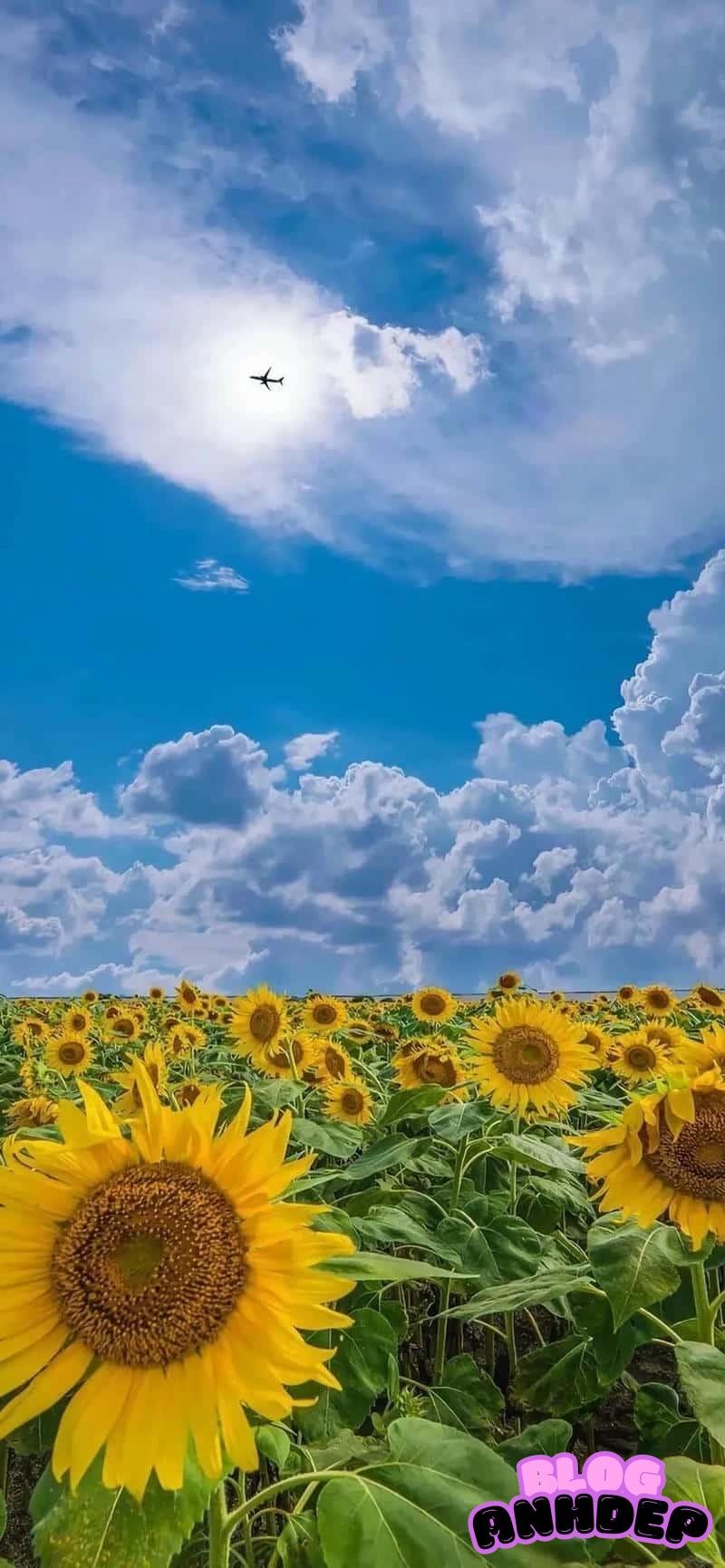 Xem ảnh nét hình nền bầu trời