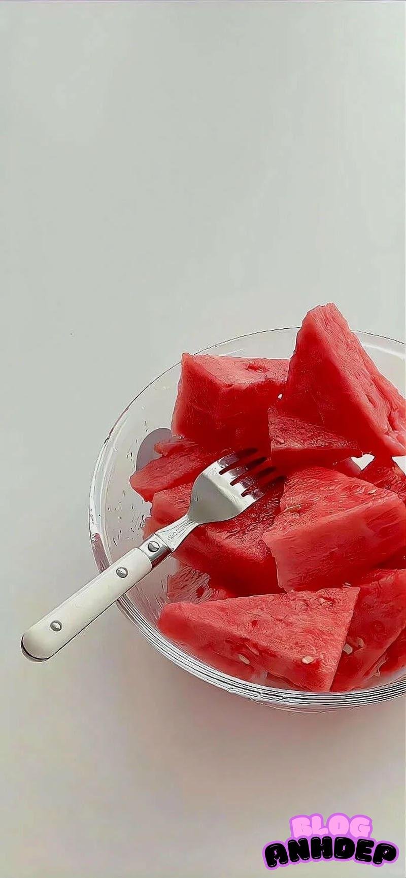 Xem bộ hình nền dưa gấu miễn phí