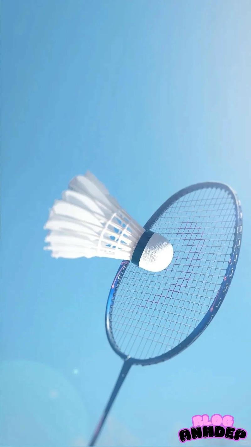 Xem hình hình nền cầu lông chất lượng