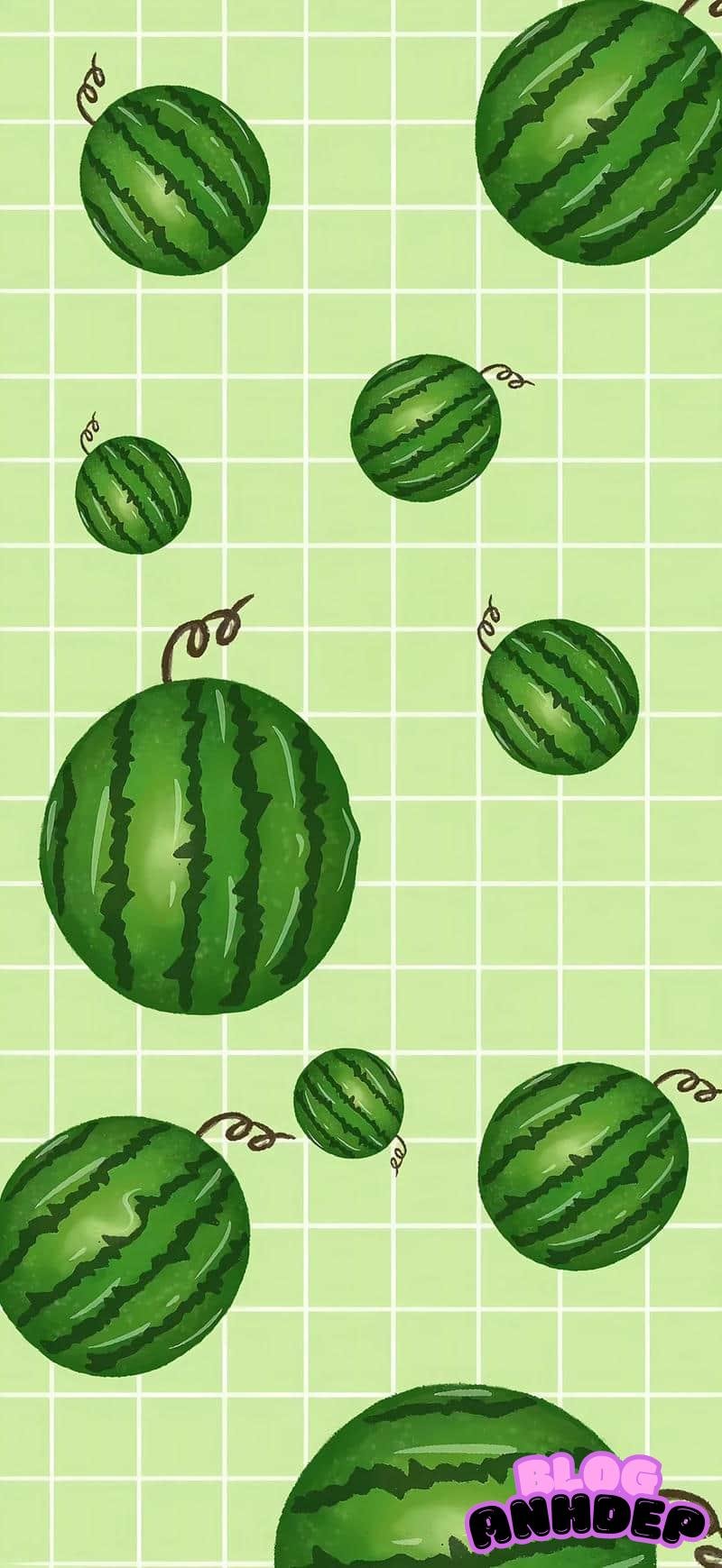 Xem hình hình nền dưa gấu chất lượng