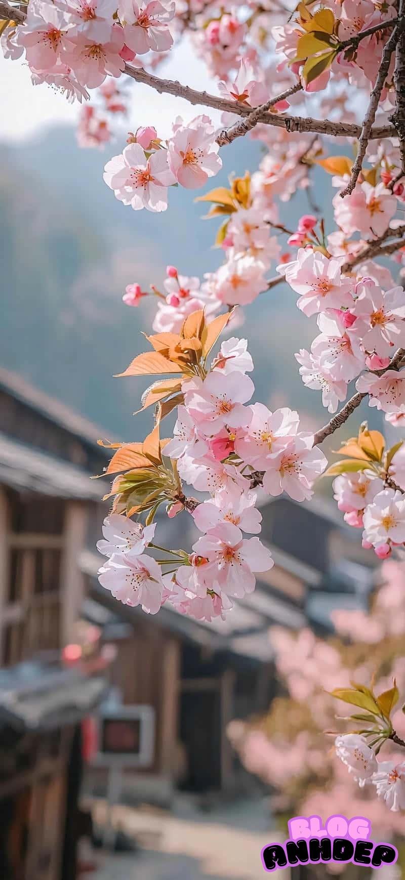 Xem hình nền 3d đẹp nhất