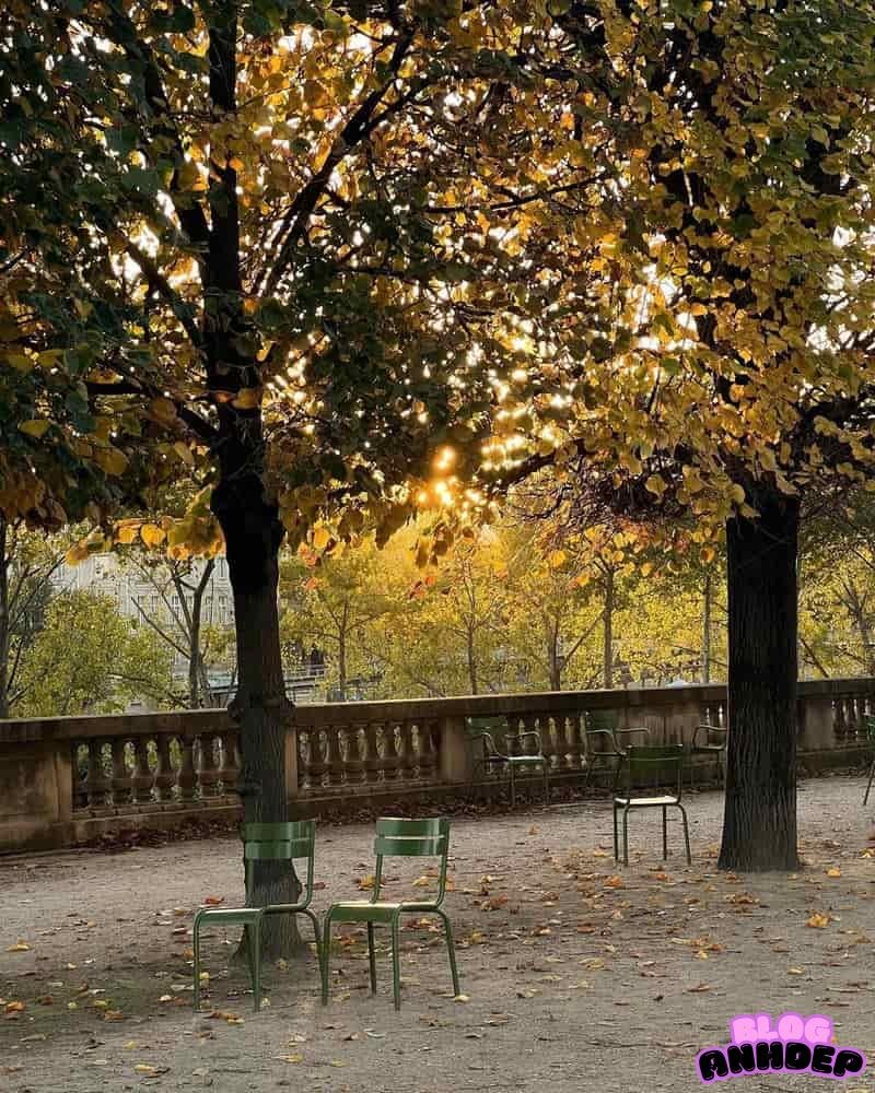 Xem hình nền apple watch nghệ thuật