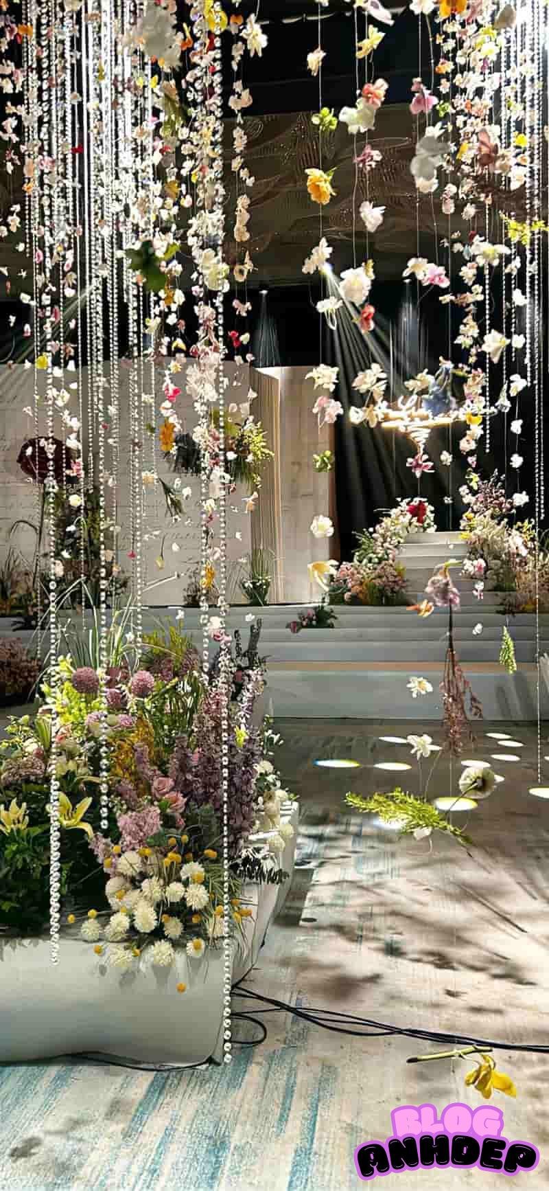 Xem hình nền background chất lượng