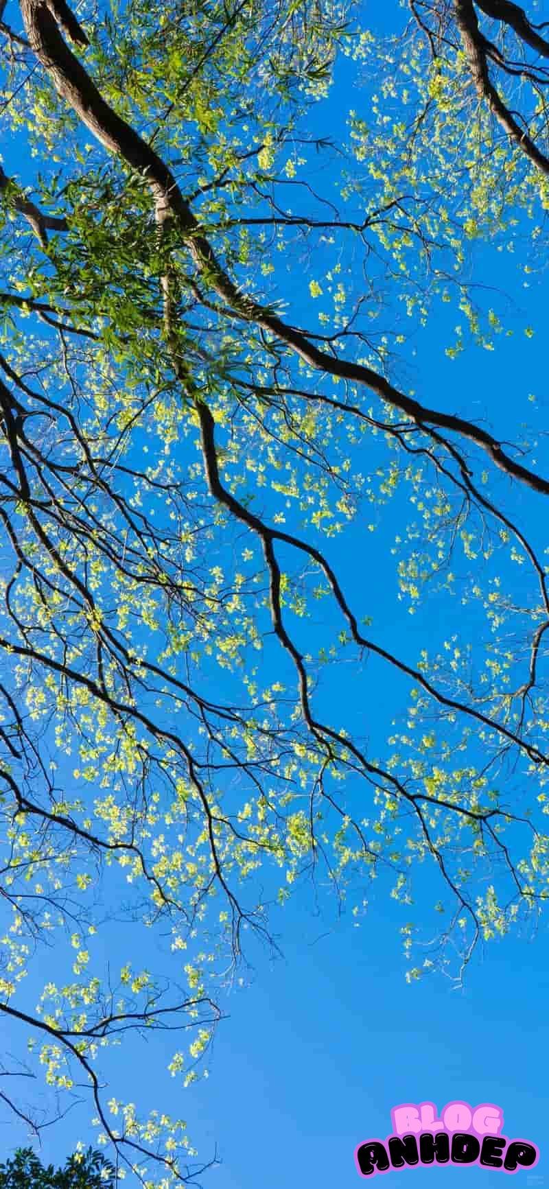 Xem hình nền background góc nhìn đẹp